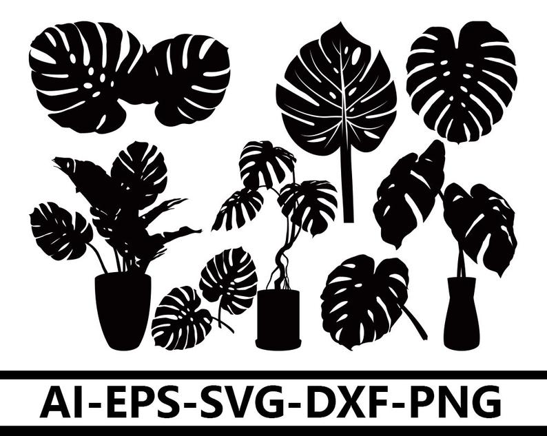 Monstera Palm Silhouette Palm Leaf Vector Clip Art Etsy 794x633 Monstera Palm Silhouette Palm Leaf Vector Clip Art Etsy