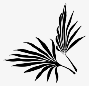 Palm Leaf Png, Transparent Palm Leaf Png Image Free Download 300x292 Palm Leaf Png, Transparent Palm Leaf Png Image Free Download
