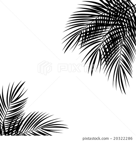 Palm Leaf Vector Background Illustration 450x468 Palm Leaf Vector Background Illustration