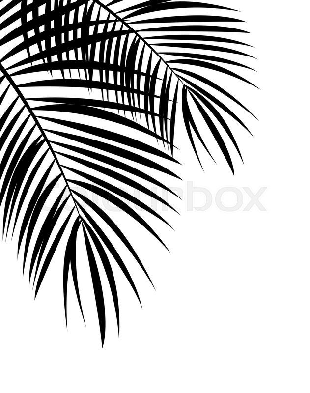 Palm Leaf Vector Background Isolated Stock Vector Colourbox 631x800 Palm Leaf Vector Background Isolated Stock Vector Colourbox