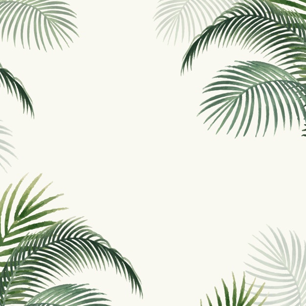 Palm Leaf Vectors, Photos And Free Download 626x626 Palm Leaf Vectors, Photos And Free Download