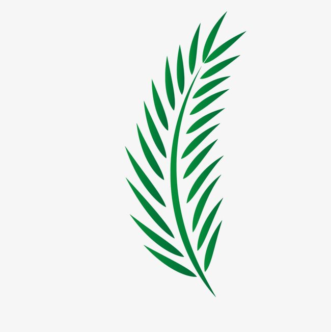 Palm Leaves, Vector Palm Leaves, Green Vector Palm, Christ Png 650x651 Palm Leaves, Vector Palm Leaves, Green Vector Palm, Christ Png