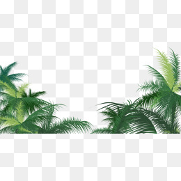Palm Leaves Png Images Vectors And Free Download 260x260 Palm Leaves Png Images Vectors And Free Download