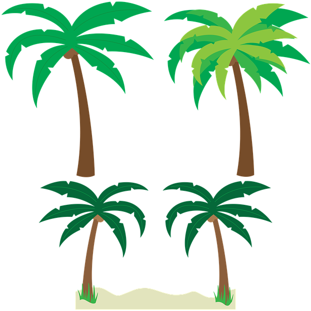 Palm Tree Vector Png 622x621 Palm Tree Vector Png
