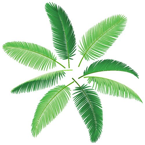 Set Of Green Palm Leaves Vector Font Brush Texture 500x500 Set Of Green Palm Leaves Vector Font Brush Texture
