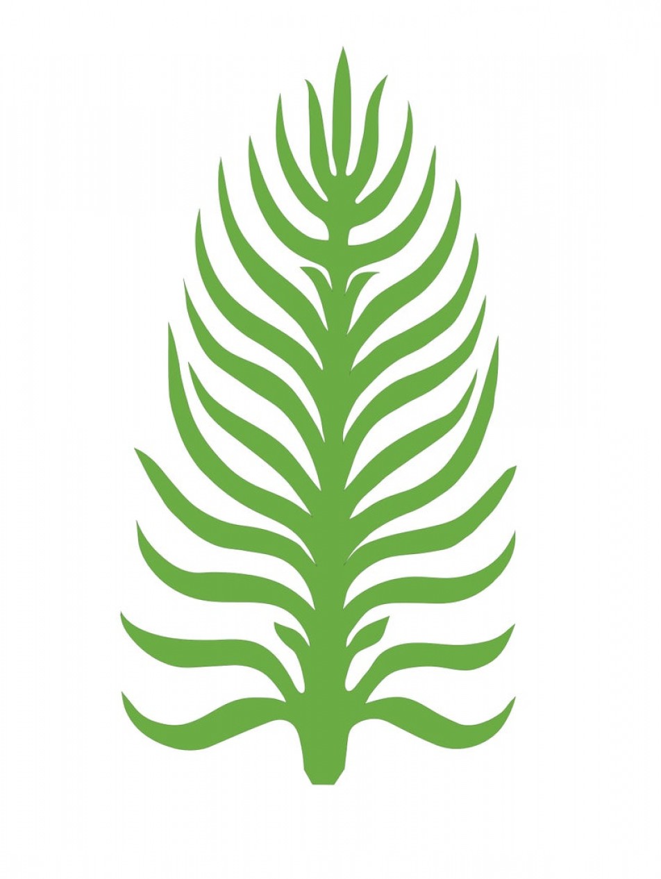 Dxf Png Palm Leaf Tropical Leaves Handandbeak 952x1266 Dxf Png Palm Leaf Tropical Leaves Handandbeak
