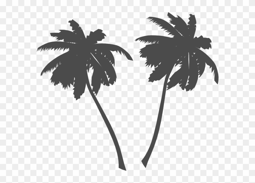 Transparent Palm Tree Vector, Hd Png Download 840x603 Transparent Palm Tree Vector, Hd Png Download