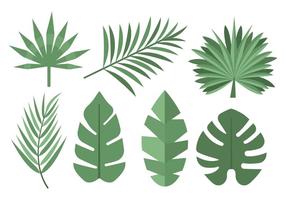 Tropical Leaves Free Vector Art 286x200 Tropical Leaves Free Vector Art