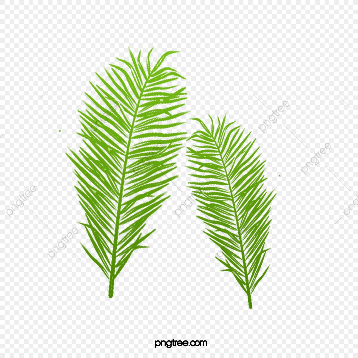 Vector Green Tropical Green Plant Leaves Palm Leaves, Leaf, Vector 1200x1200 Vector Green Tropical Green Plant Leaves Palm Leaves, Leaf, Vector