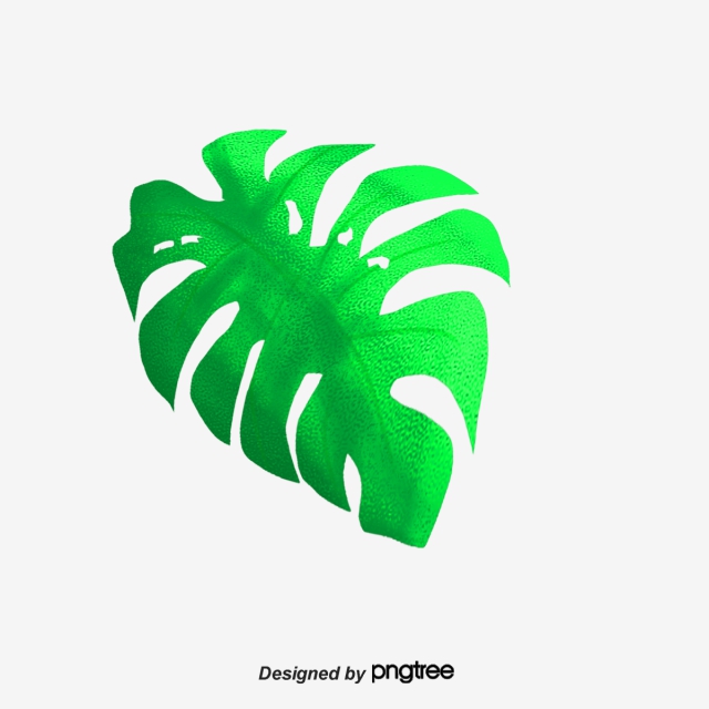 Banana Leaves Png Images Vector And Free Download 640x640 Banana Leaves Png Images Vector And Free Download