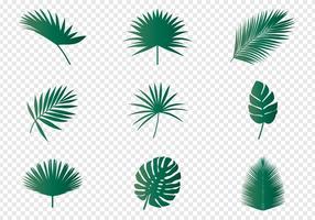 286x200 Palm Free Vector Art