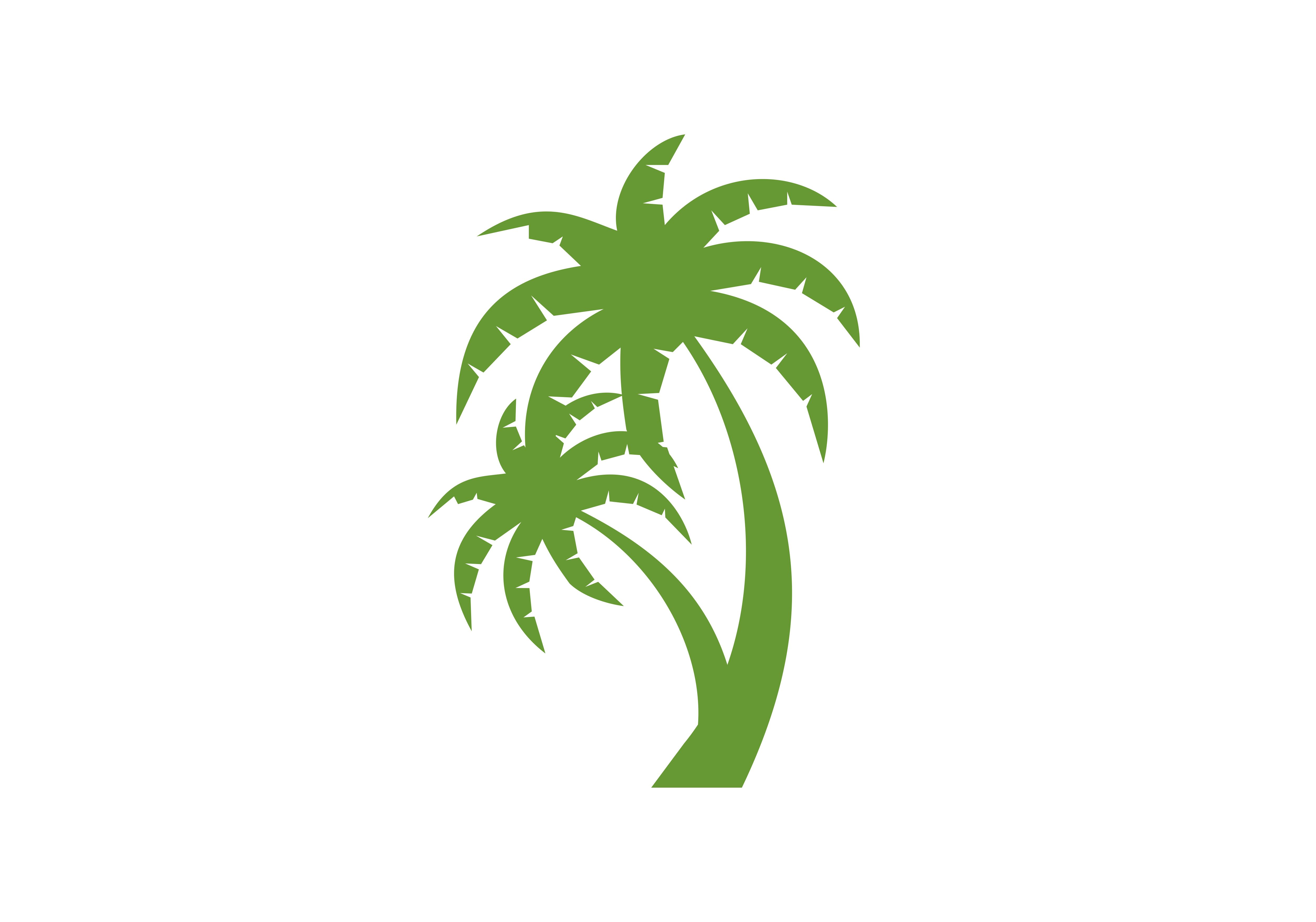 5000x3500 Palm Tree, Coconut Logo Vector Graphic