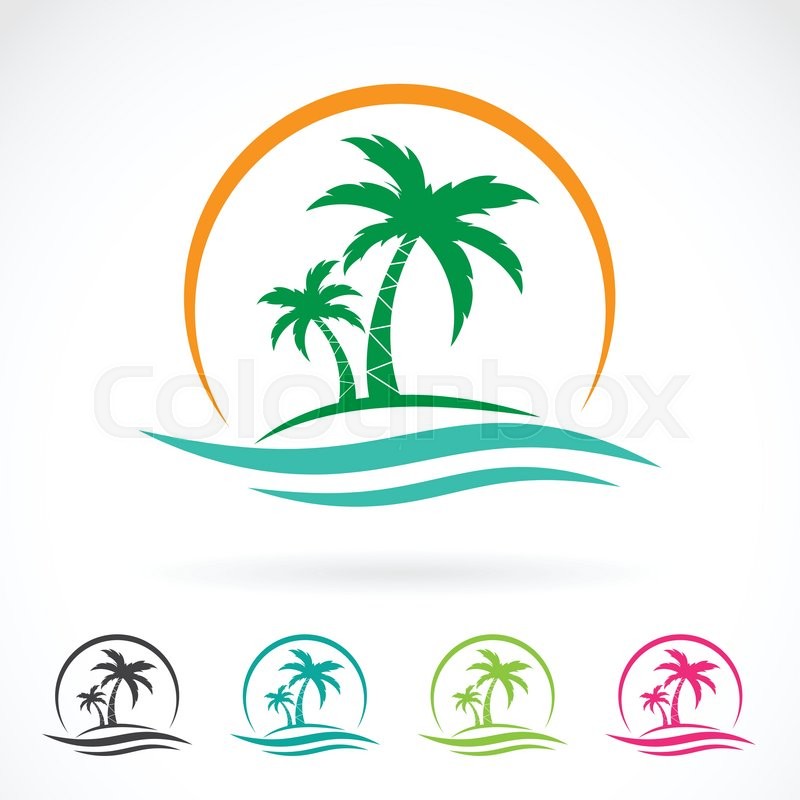 800x800 Vector Image Of An Palm Tropical Tree Stock Vector Colourbox