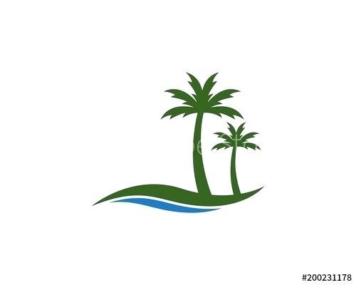 500x400 Palm Tree Design Vector
