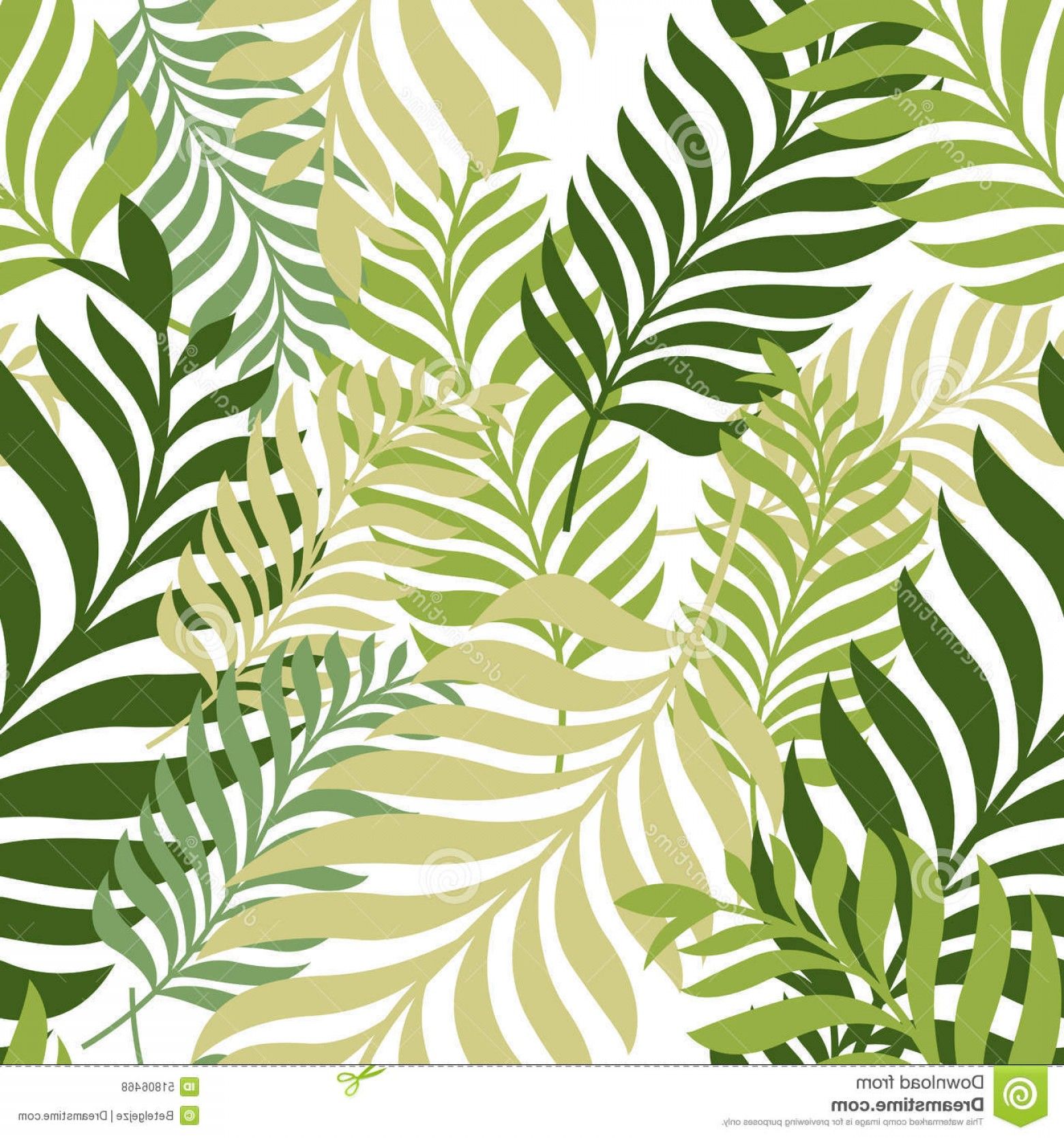 1560x1668 Leaf Print Vector Stock Illustration Green Palm Tree Leaves