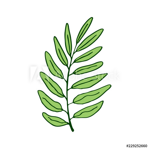 500x500 Leaf Vector Illustration Interior Print Design Tropical Palm