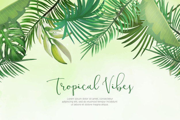 626x417 Palm Leaf Vectors, Photos And Free Download