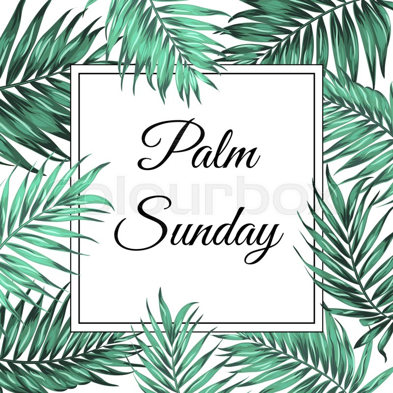 800x800 Palm Sunday Christian Feast Holiday Stock Vector Colourbox
