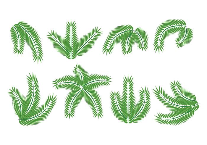 700x490 Palm Sunday Vector Pack Stock Images