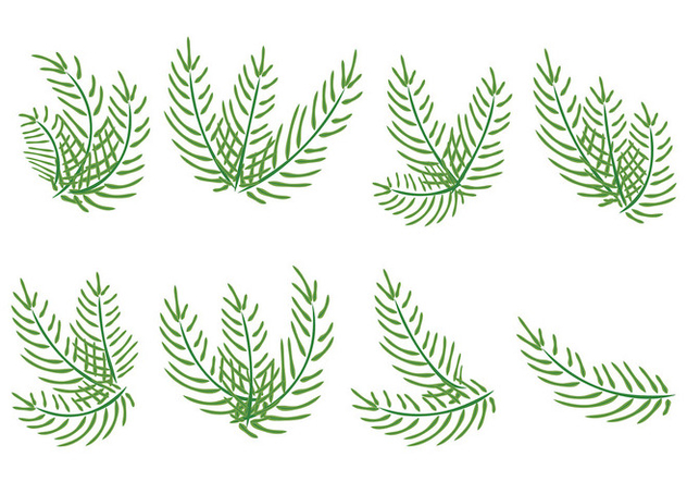 632x443 Palm Sunday Vector Palms Free Vector Download Cannypic