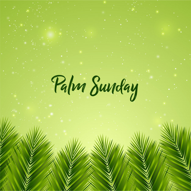 626x628 Palm Sunday Background Vector Premium Download