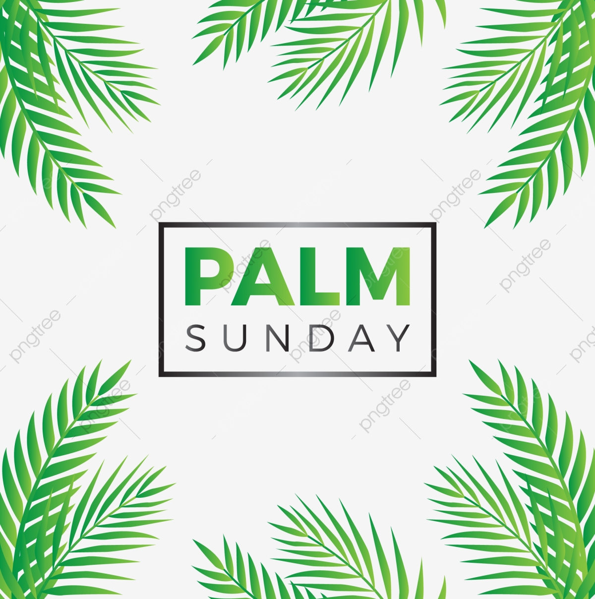 1200x1208 Creative Palm Sunday With Natural Palm Leaves Illustration, Palm