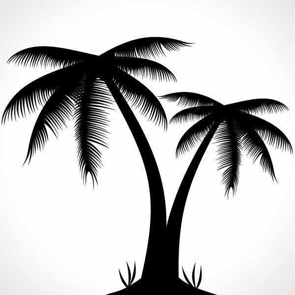 Palm Tree Logo Vector At Vectorified Com Collection Of Palm Tree Logo