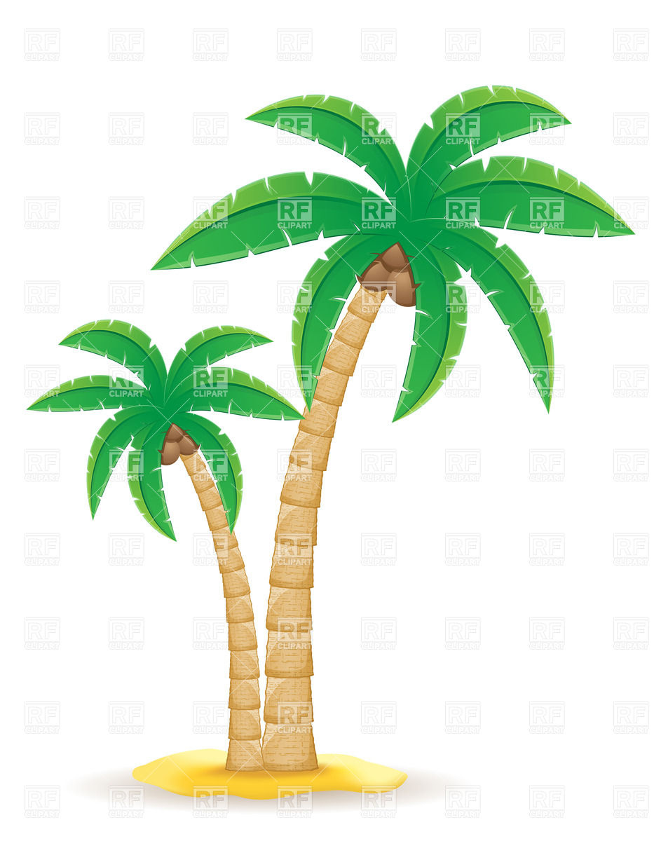 933x1200 Palm Tree On The Sand Vector Image Of Plants And Animals