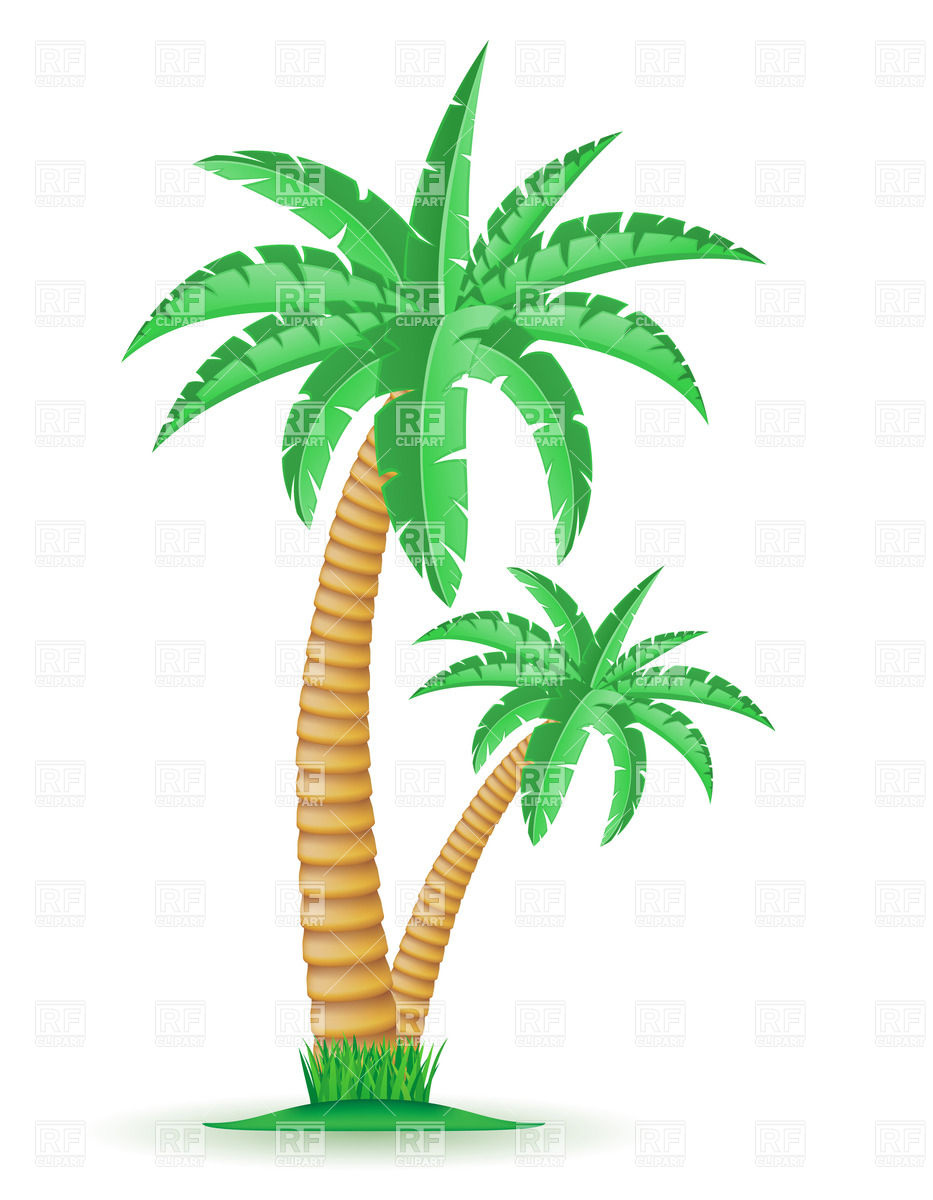 933x1200 Tropical Palm Trees Vector Image Of Plants And Animals Konturvid