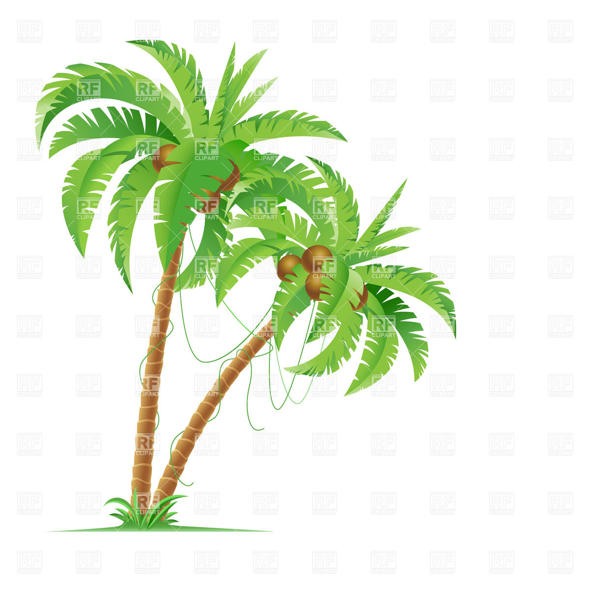 1200x1200 Two Palm Trees With Coconuts Vector Image Of Plants And Animals