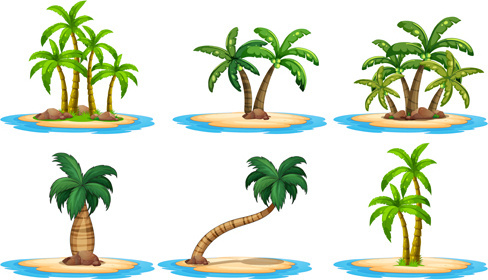 488x280 Sea Islands Palm Tree Vector Vector Plant Free Vector Free Download