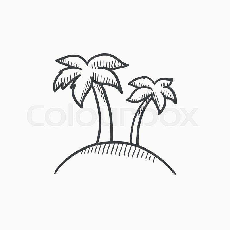 800x800 Two Palm Trees On Island Vector Sketch Stock Vector Colourbox