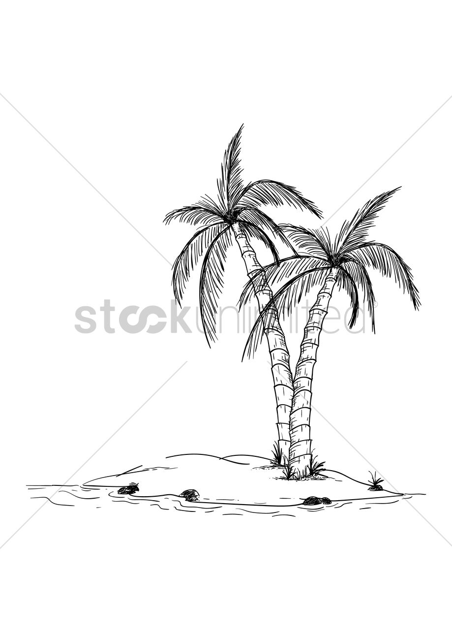 919x1300 Coconut Trees In An Island Vector Image