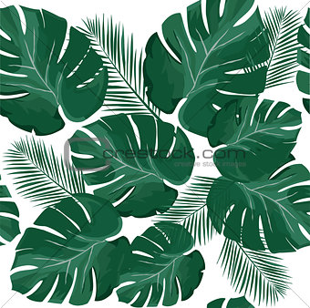 340x338 Image Palm Leaves Vector From Crestock Stock Photos