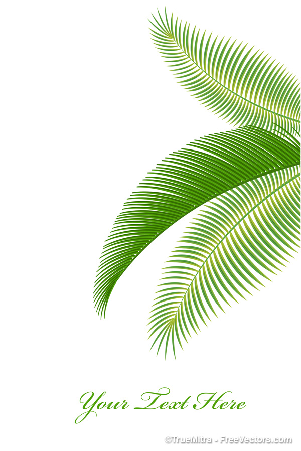 600x899 Palm Leaf Vector Free Images