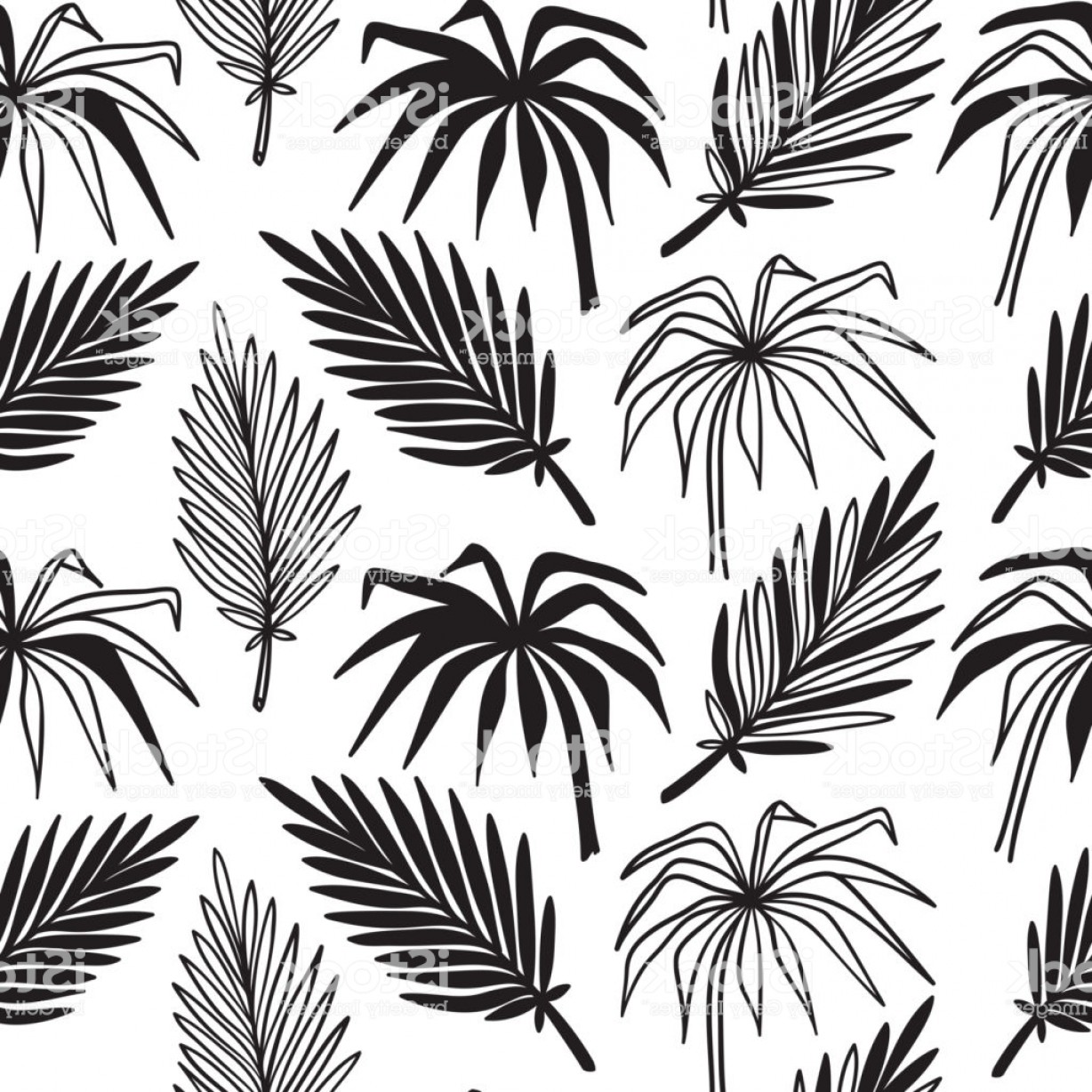 1228x1228 Palm Tree Leaves Vector Lamaison