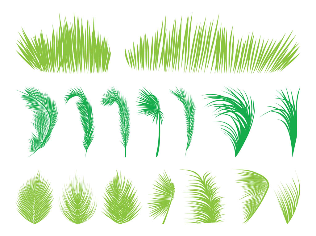 1024x765 Palm Tree Leaves Vector Art Graphics