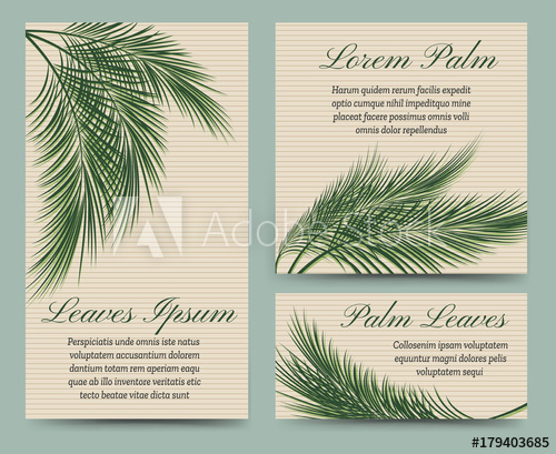 500x409 Palm Leaves Card Retro Template Palm Tree Leaf Vector Exotic
