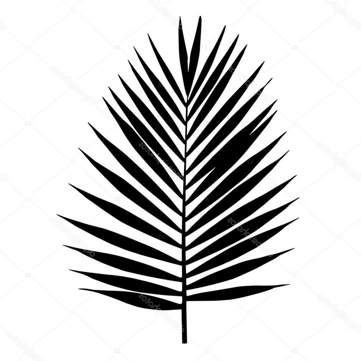 1228x1228 Stock Illustration Palm Leaf Silhouette Vector Illustration Soidergi