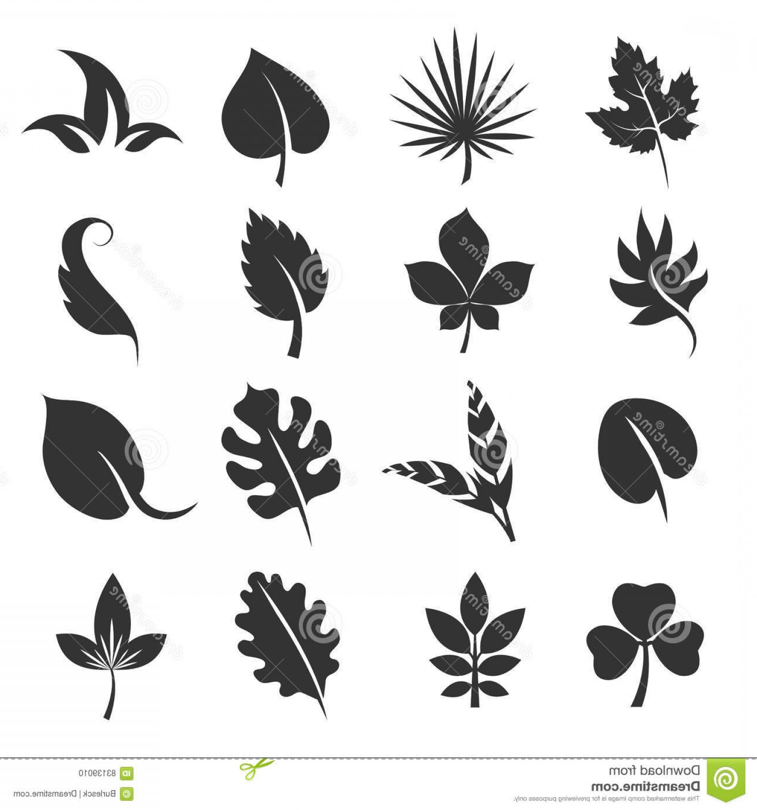 1560x1668 Stock Illustration Tree Leaf Silhouettes Leaves Vector