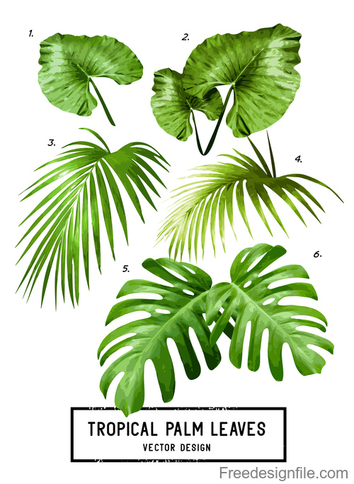 500x683 Tropical Palm Leaves Vector Background Free Download