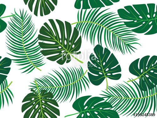500x375 Green Palm Tree And Monstera Leaf Vector Tropical Theme Seamless