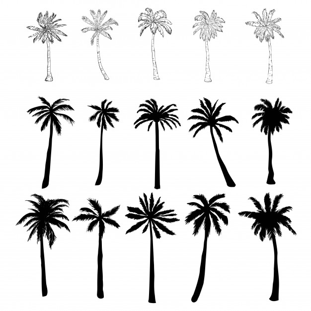 Palm Tree Logo Vector at Vectorified.com | Collection of Palm Tree Logo ...