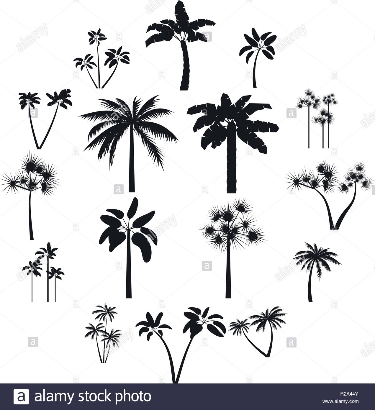 Palm Tree Logo Vector at Vectorified.com | Collection of Palm Tree Logo