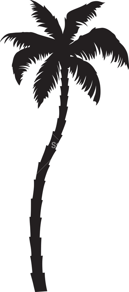 Palm Tree Logo Vector at Vectorified.com | Collection of Palm Tree Logo ...