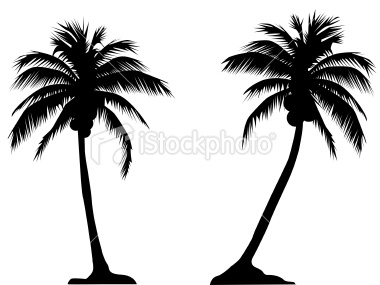 Palm Tree Outline Vector