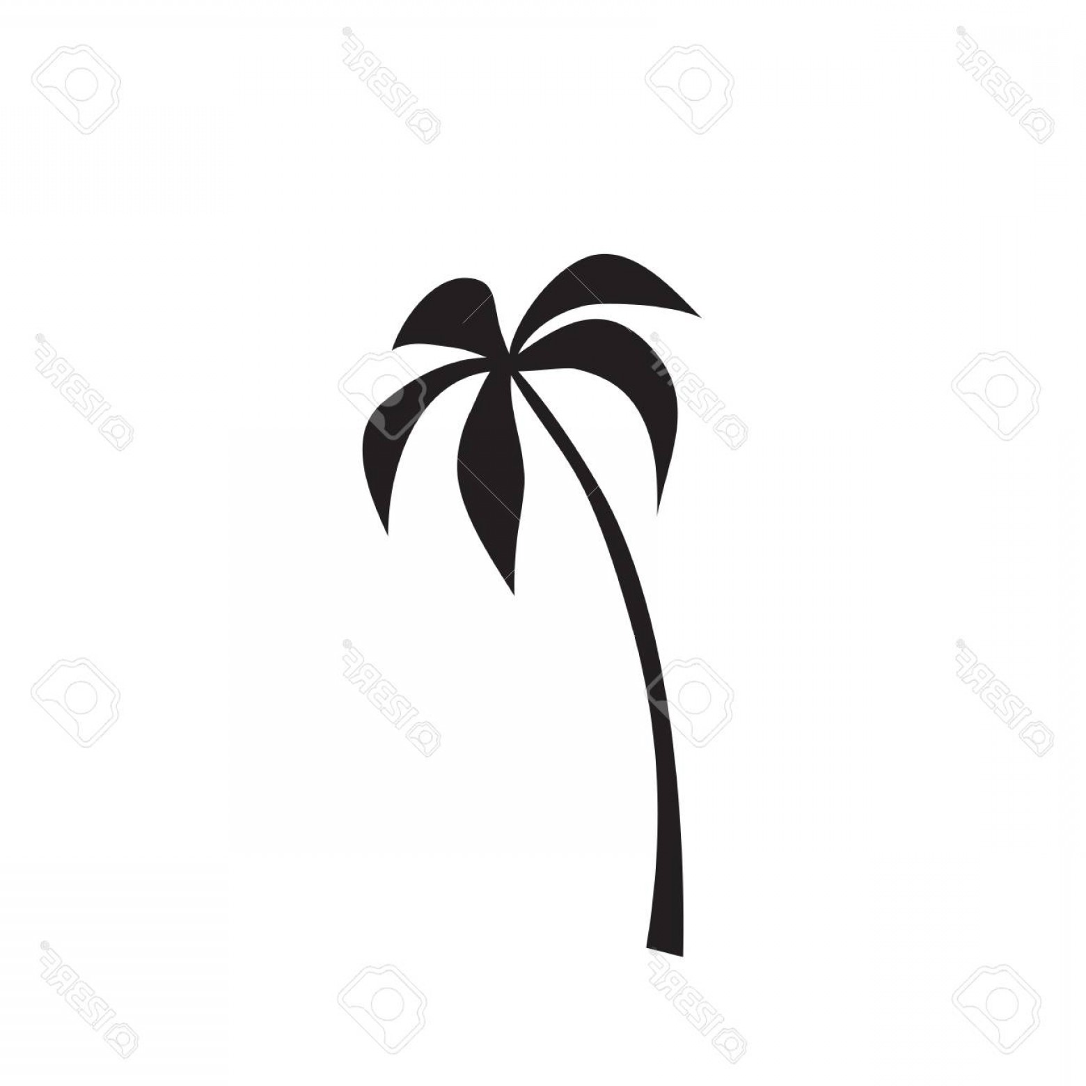 1560x1560 Palm Tree Silhouette Vector Free Hoodamathrun