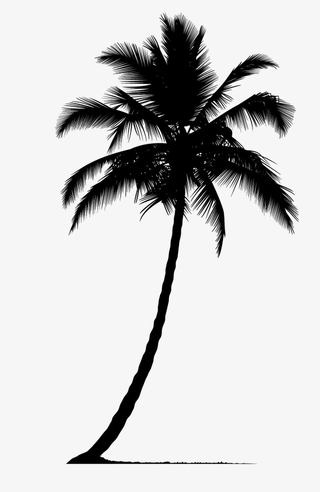 650x998 Palm Tree Silhouette Vector Png