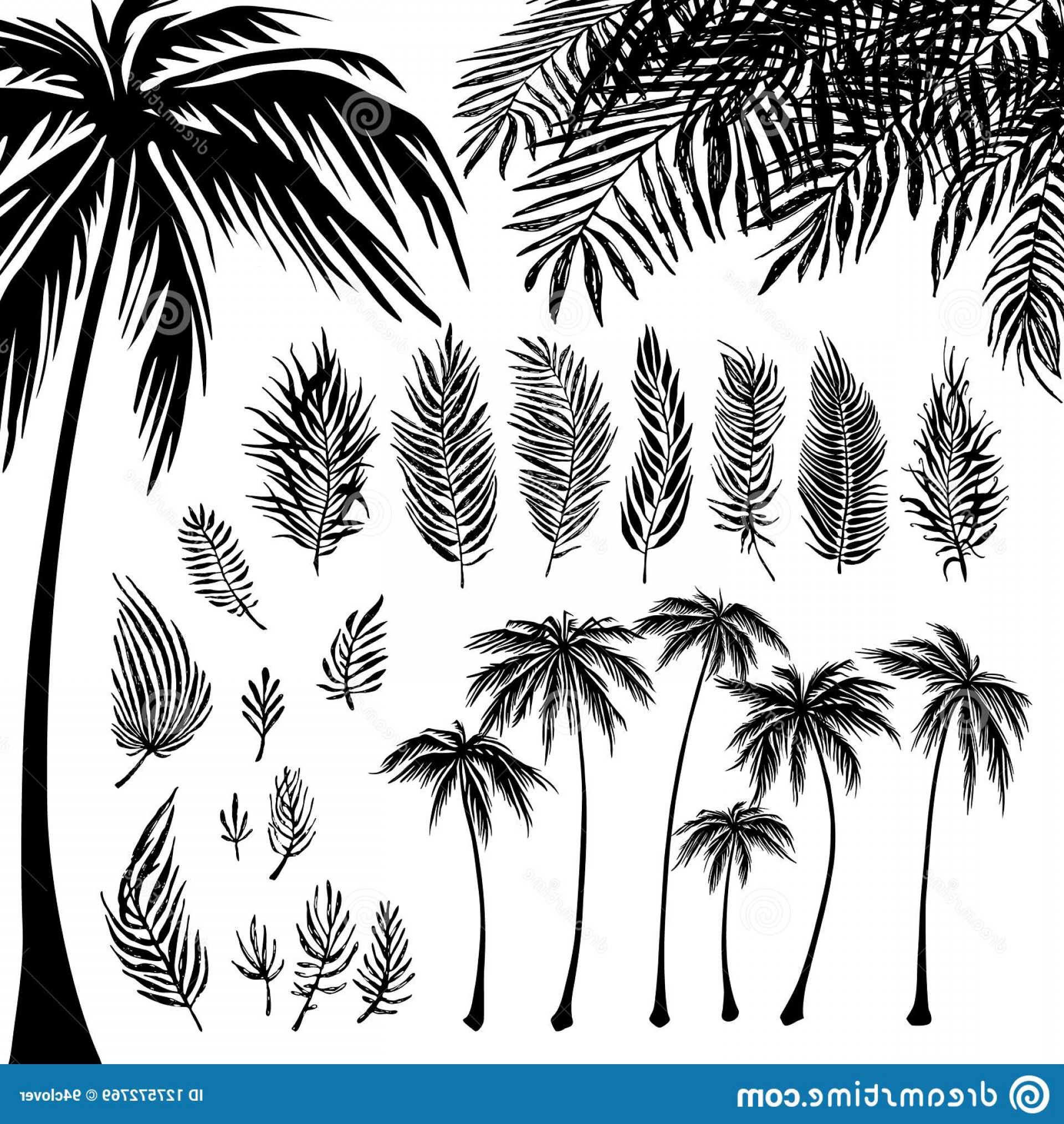 1920x2028 Black Palm Tree Designs Vector Hoodamathrun