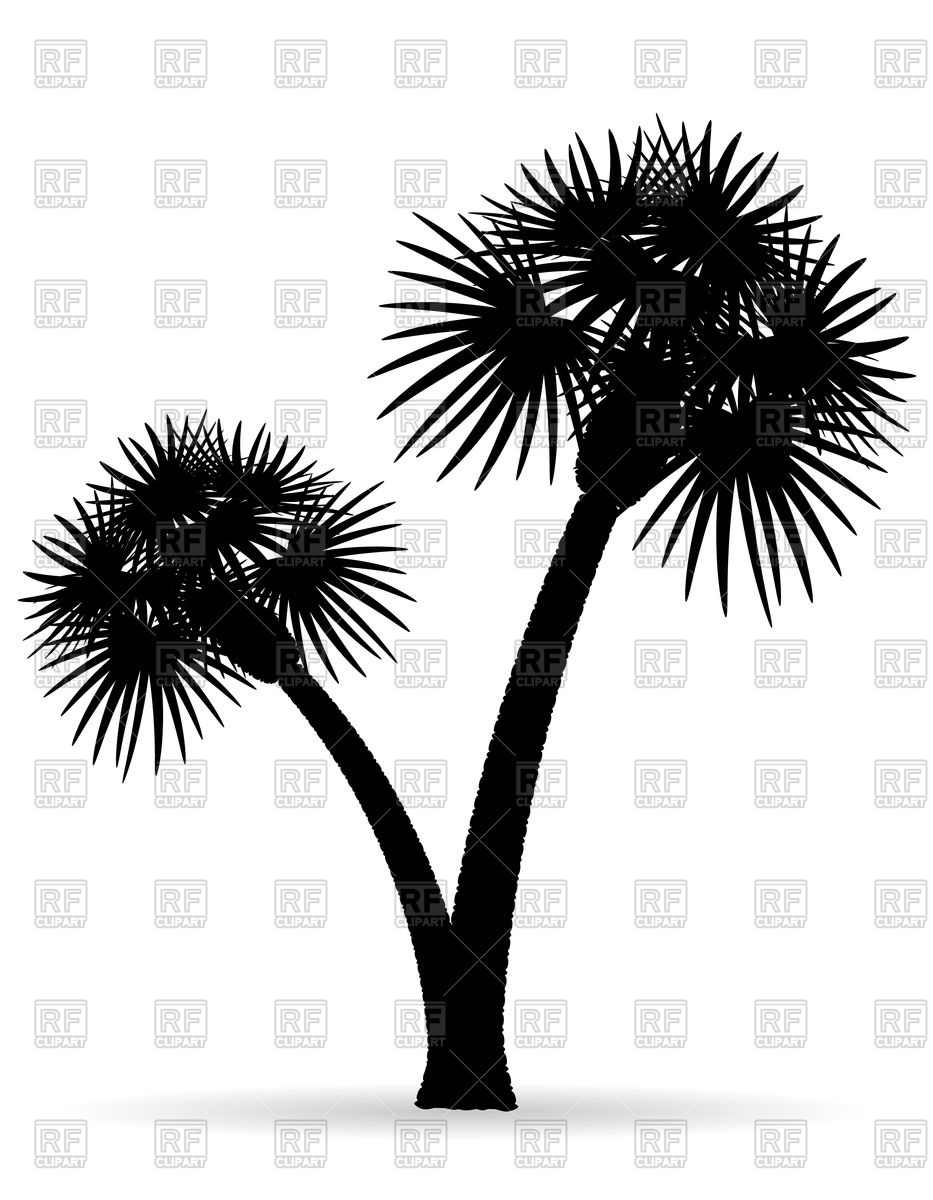 933x1200 Palm Tree Black Outline Silhouette Vector Image Of Plants